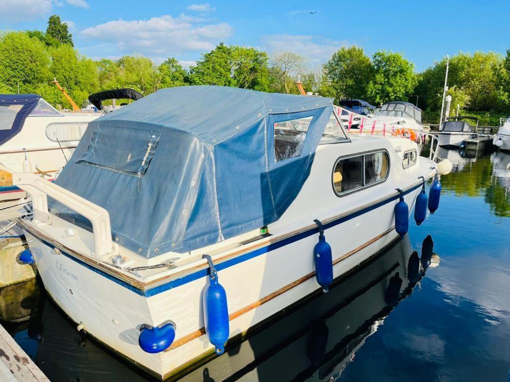 Buoyant Breaks Hotell Bray Exteriör bild